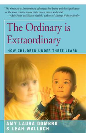 The Ordinary is Extraordinary de Amy Laura Dombro