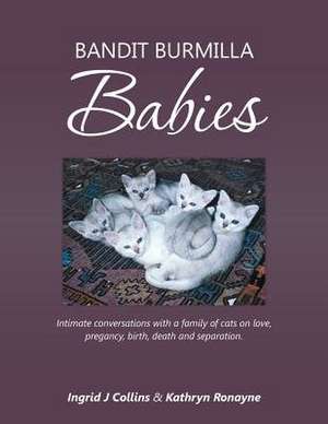 Bandit Burmilla Babies de Ingrid J. Collins