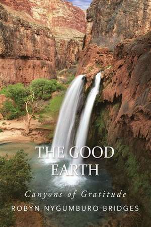 The Good Earth: Canyons of Gratitude de Robyn Nygumburo Bridges