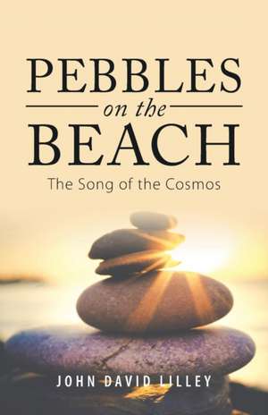 Pebbles on the Beach de John David Lilley