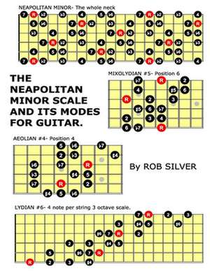 The Neapolitan Minor Scale and Its Modes for Guitar de Rob Silver