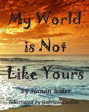 My World Is Not Like Yours de Hanan Baker