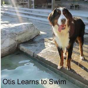 Otis Learns to Swim de Dana George Neuman