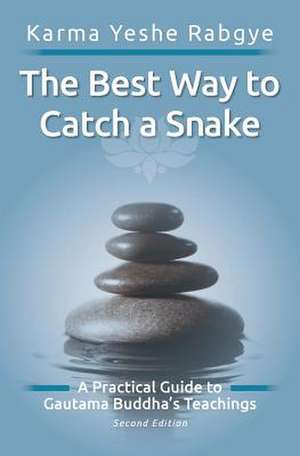 The Best Way to Catch a Snake de Karma Yeshe Rabgye