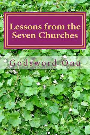 Lessons from the Seven Churches de Onu, Apst Godsword Godswill