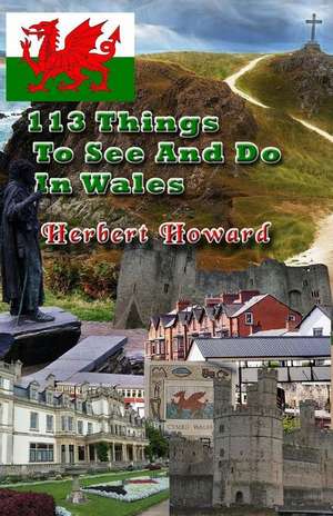 113 Things to See and Do in Wales de Herbert Howard