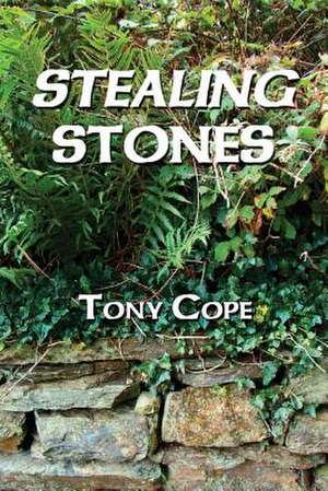 Stealing Stones de Tony Cope