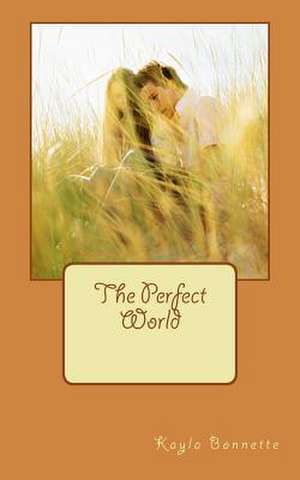 The Perfect World de Kayla Bonnette