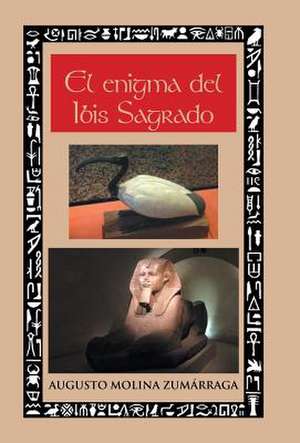 El Enigma del Ibis Sagrado de Augusto Molina Zumarraga