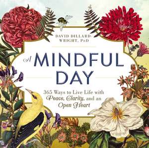 A Mindful Day: 365 Ways to Live Life with Peace, Clarity, and an Open Heart de David Dillard-Wright