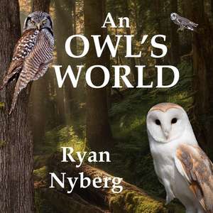 An Owl's World de Ryan Nyberg