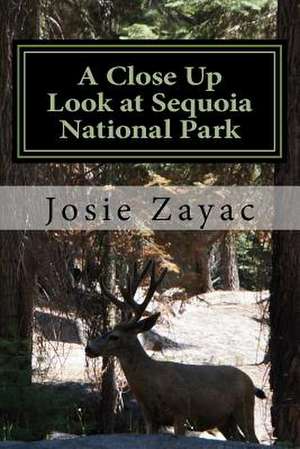 A Close Up Look at Sequoia National Park de Dr Josie Zayac