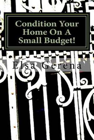 Condition Your Home on a Small Budget! de Elsa Gerena