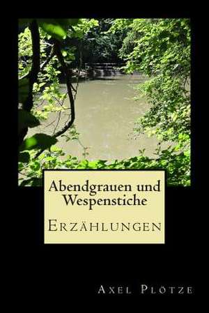 Abendgrauen Und Wespenstiche de Axel Plotze