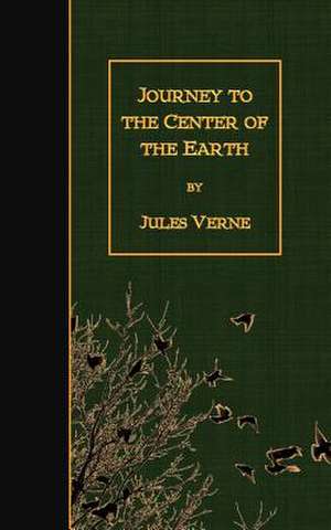 Journey to the Center of the Earth de Jules Verne