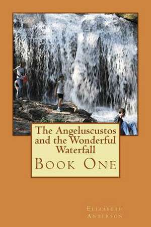 The Angeluscustos and the Wonderful Waterfall de Elizabeth Anderson