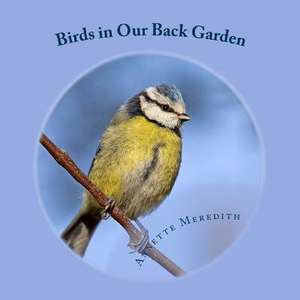 Birds in Our Back Garden de Annette Meredith