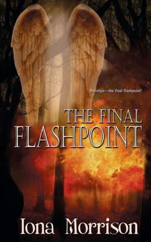 The Final Flashpoint de Iona Morrison