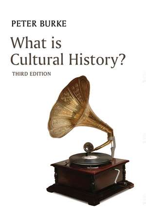 What is Cultural History? 3e de P Burke