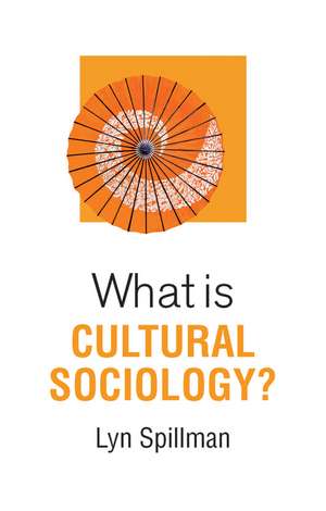 What is Cultural Sociology? de Spillman