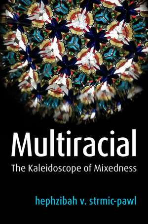 Multiracial – The Kaleidoscope of Mixedness de HV strmic–pawl