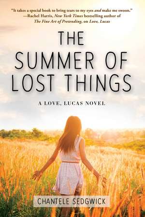 The Summer of Lost Things de Chantele Sedgwick