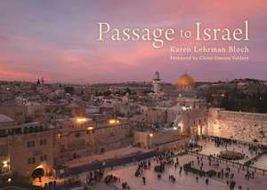 Passage to Israel de Karen Lehrman Bloch