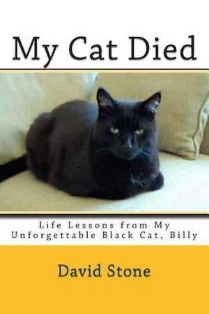 My Cat Died de David Stone