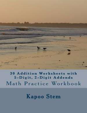 30 Addition Worksheets with 5-Digit, 2-Digit Addends de Kapoo Stem