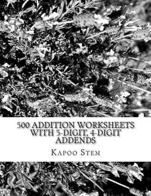 500 Addition Worksheets with 5-Digit, 4-Digit Addends de Kapoo Stem