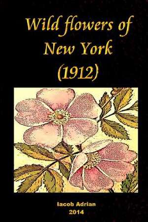 Wild Flowers of New York (1912) de Iacob Adrian