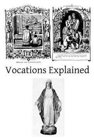 Vocations Explained de Vincentian Father