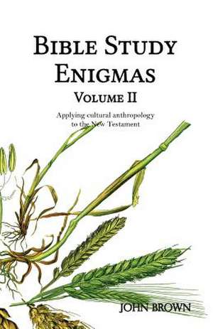 Bible Study Enigmas, Volume II de MR John L. Brown