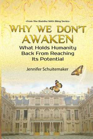 Why We Don't Awaken de Jennifer Schuitemaker