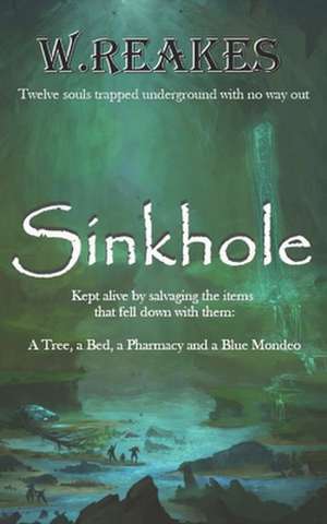 Sinkhole de Wendy Reakes