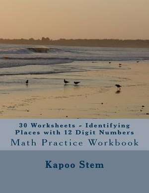 30 Worksheets - Identifying Places with 12 Digit Numbers de Kapoo Stem