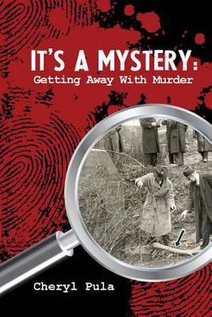 It's a Mystery, Volume 1 de Cheryl Pula