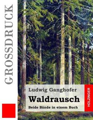 Waldrausch (Grossdruck) de Ludwig Ganghofer