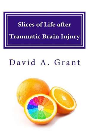 Slices of Life After Traumatic Brain Injury: (Arthur Conan Doyle Masterpiece Collection) de David A. Grant