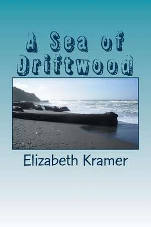 A Sea of Driftwood de Elizabeth Kramer