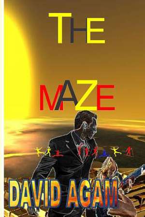 The Maze de David Agam