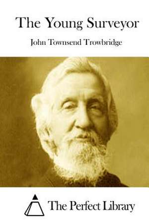 The Young Surveyor de Trowbridge, John Townsend