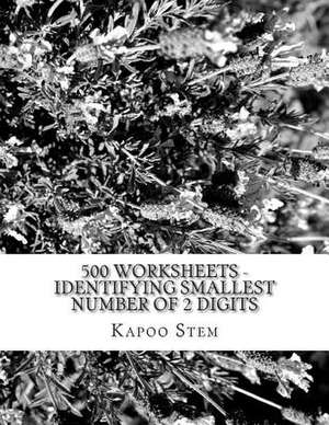 500 Worksheets - Identifying Smallest Number of 2 Digits de Kapoo Stem