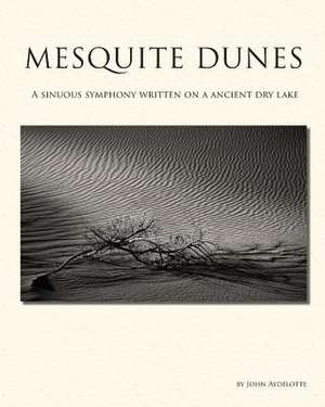 Mesquite Dunes de John Aydelotte