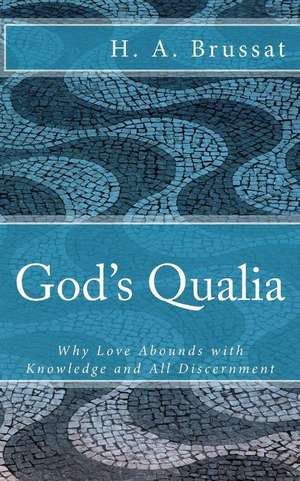 God's Qualia de H. a. Brussat