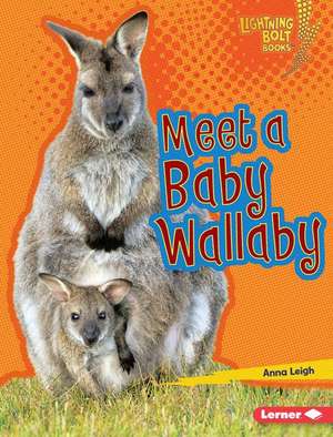 Meet a Baby Wallaby Meet a Baby Wallaby de Anna Leigh