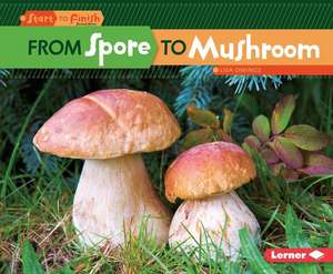 From Spore to Mushroom from Spore to Mushroom de Lisa Owings