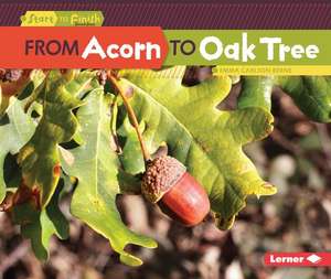 From Acorn to Oak Tree de Emma Berne