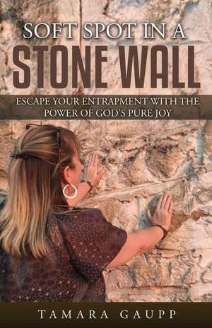 Soft Spot in a Stone Wall: Escape Your Entrapment with the Power of God's Pure Joy de Tami Gaupp