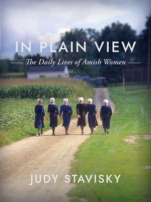 In Plain View de Judy Stavisky